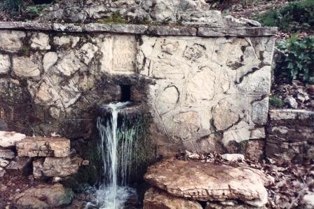 brisi basilos 1931(antroni.gr)45gbn