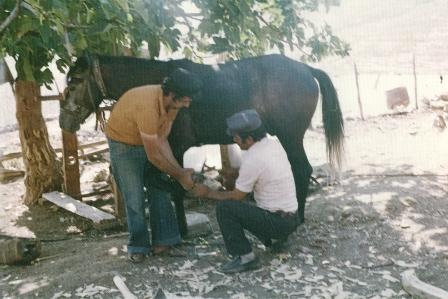 kaligoma(antroni.gr)49gbn