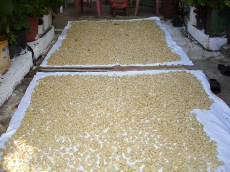 antr.traxanas  24 augoustou 2007 005.jpg