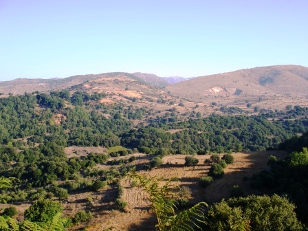 arxaia lasiona_kuti 009