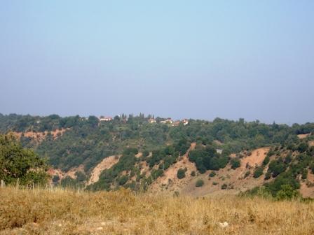 arxaia lasiona_kuti 012