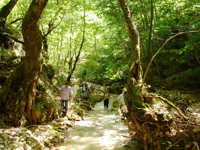 faragi ppoo silog.filis-16-6-07 089.jpg