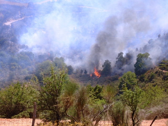 ziraiika xarages 25 augoustou 2007 023.jpg