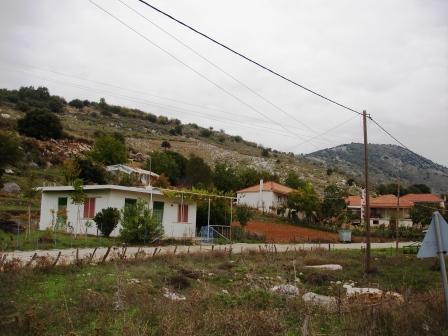 spartulia .antr 06 004